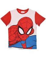 Spiderman T-shirt Tawip